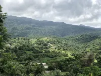 Live Tropical like a local , El Yunque Rainforest View, Mountain View