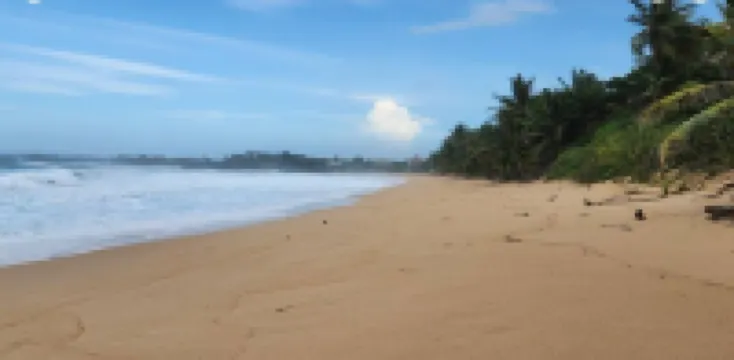 Quiet cozy 1 bedroom 1 bathroom just 2 blocks from beautiful beaches!