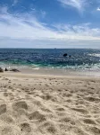 Casa Paloma by the sea