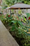 Kitara House Backpackers Hostel Hotels in 