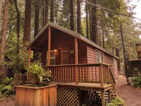 Emerald Forest Cabins Отели в г. Тринидад