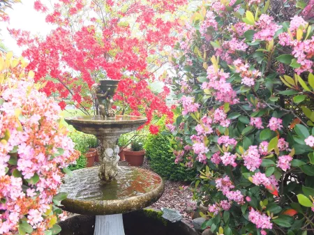 Colonial Court Motel Отели рядом с достопримечательностью «Мейпл Арборетум»