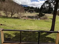 瑞尼爾山庫伯溪旅館 - 山景