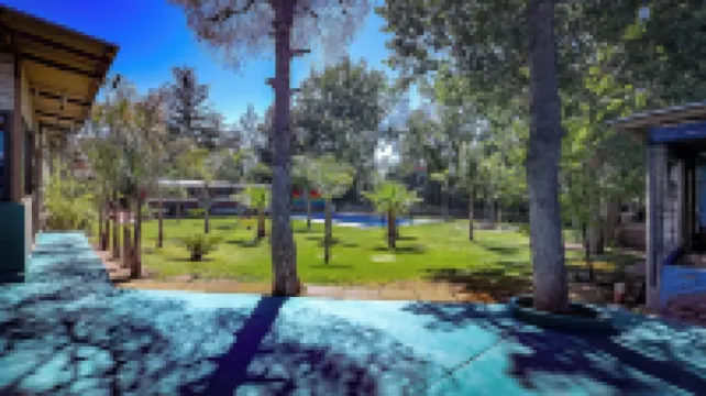 檸檬樹青年旅舍 酒店