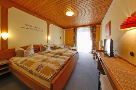 Gasthof-Metzgerei-Pension Schierlitz Отели в г. Каммюнстер