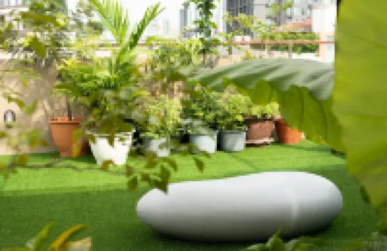 卡拉羅姆飯店 通洛附近的飯店