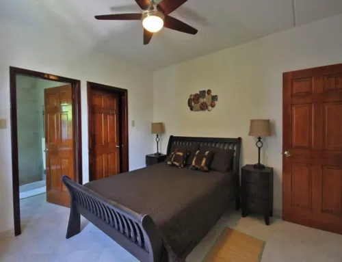 Modern 6-Bedroom Family Villa with Pool, Steps from Beach, Surf & Ocean