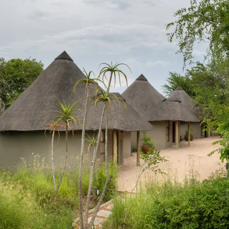 Leopard Sands, Kruger Park