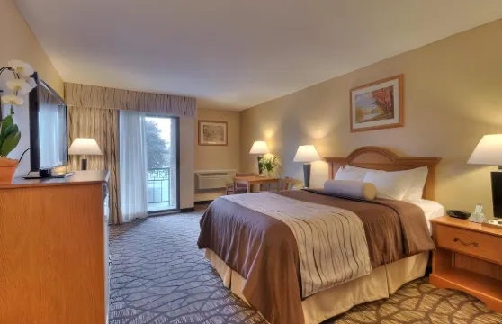 克利夫頓公園貝斯特韋斯特酒店