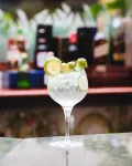 Hodelpa Garden Suites - All Inclusive - bar