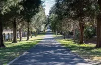Renovated Duplex in Historic Old Salem Home