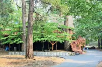 The Cabin Life- Dog Friendly w/3BR+loft & Hot Tub
