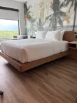 Cambria Hotel Tampa-Brandon Hotels in Hillsborough County