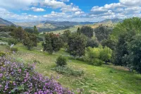 Fallbrook Home w/ Mountain Views: Close to Hiking!