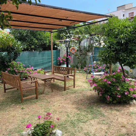 Delfinia Studios