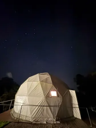 FéLIZA Rainforest Domes