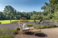 La Mas Fanny À Gordes Hotels in Gordes