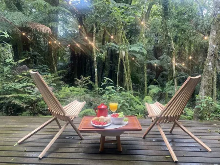 Reserva Alpes Отели в г. Sao Francisco de Paula