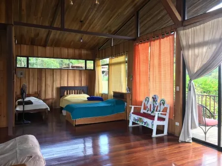 Cabin surrounded by nature at ground level with terrace