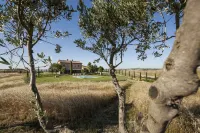 Country house Colline Senesi San Giovanni in Poggio - apartment Vespro