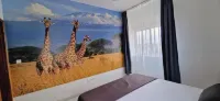 Safari.... Hotel a 