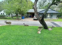 Charming 1950s 3-bedroom house with hot tub and close to amenities in Kerrville!