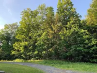 Welcome to The Creek Side House – A Tranquil Retreat in the Catskills