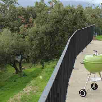 "The House of Elves" Others