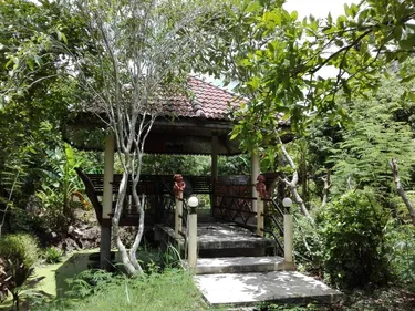 รูปภาพของGarden Homestay in Ampawa