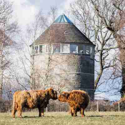 Retreat to the Water Tower Others