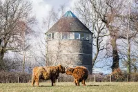 Retreat to the Water Tower - Wifi