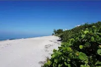 The Oceanview Oasis