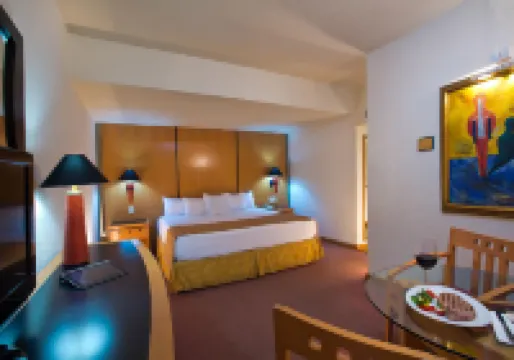 Hotel Guadalajara Plaza Ejecutivo