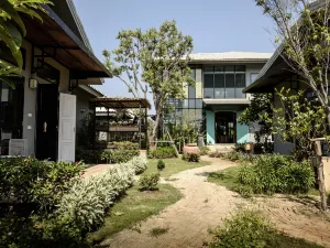 암파와 바니다 플레투