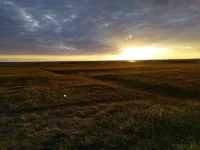 6 Person Holiday Home in Gedser