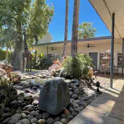 Desert Paradise Resort - Gay Men's Resort Hotel Exterior