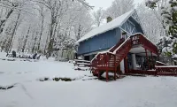 Blue Ridge Mountains Getaway Cabin • Skiing • Firepit • Outdoor Theater