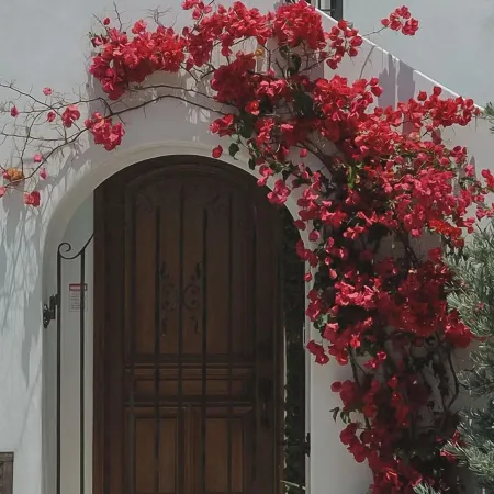 North Beach Villa