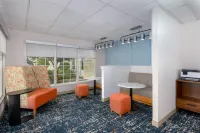 Hampton Inn & Suites Austin-Airport