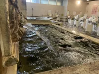 Capsule and Sauna Rosco Hotels near Ikebukuro