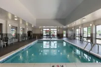 Hampton Inn & Suites Roanoke Airport - piscine