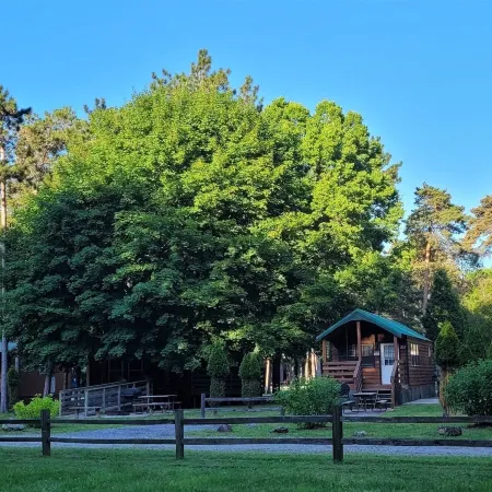 Elkhart RV Resort Отели в г. Харрис Тауншип
