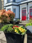 Princetown Guesthouse - Wifi