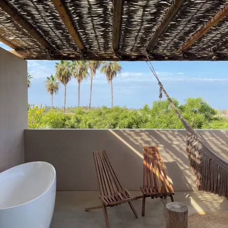Proyecto Palmita