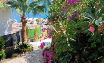 Es Apartments - Housity