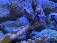 熱帶微風海灘俱樂部飯店 - 沙灘