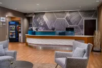 Holiday Inn Express & Suites Sarasota Bradenton by IHG - 3つ星