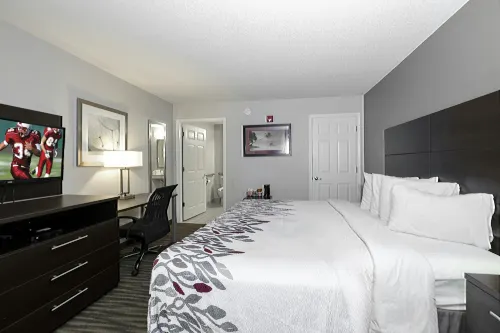 Red Roof Inn Defuniak Springs - 2-Star