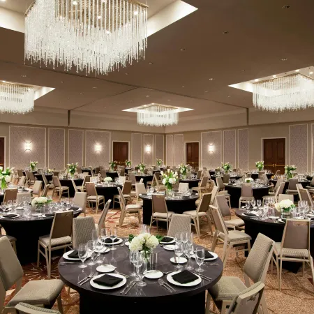 Sheraton McKinney Hotel