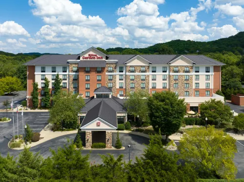 Hilton Garden Inn Nashville/Franklin Cool Springs - Hot Tub